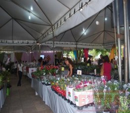 10ª edição da Feira de Flores de Holambra será neste final de semana