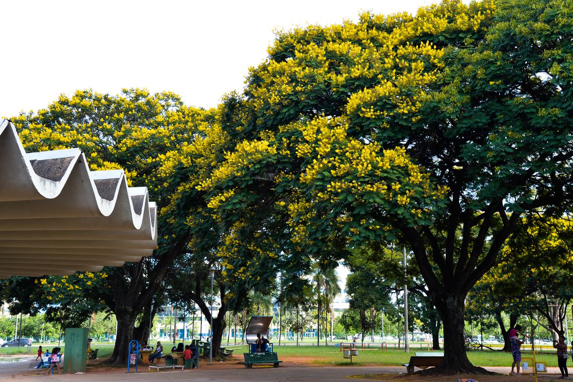 BEM ESTAR: Pesquisa aponta que natureza beneficia bem-estar e saúde da população