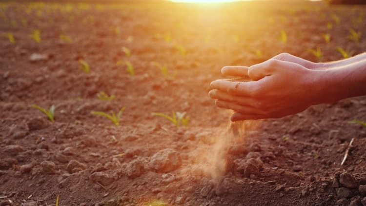 GARANTIA-SAFRA: Benefício autoriza o pagamento para mais de 380 mil agricultores