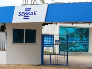 SEBRAE/RO: Sobre o Bootcamp Sebrae de Blockchain e Criptomoeda