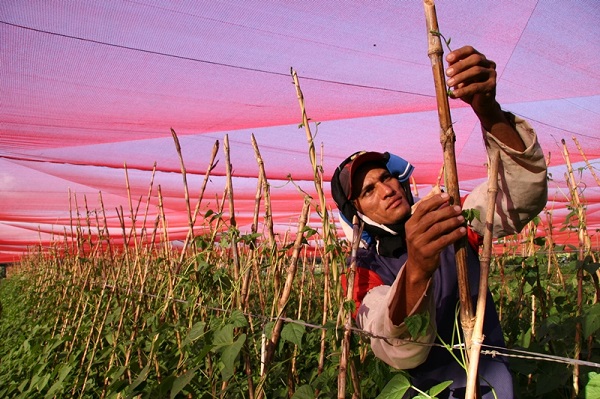 PROSPERA AGRO: Dia do agricultor é comemorado com evento nacional