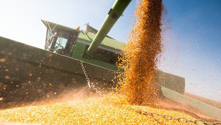 INFORMAÇÃO: Governo lança portal do Observatório da Agropecuária Brasileira