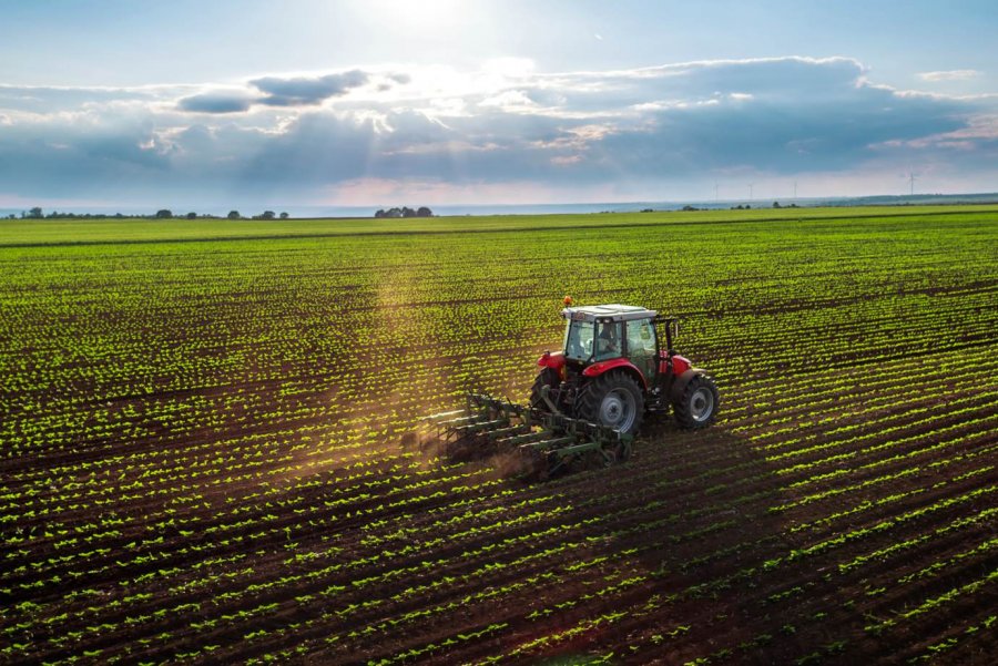 IBGE: Agropecuária é único setor da economia com crescimento na pandemia