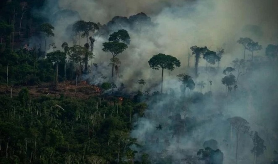 NATUREZA: AGU monta equipe para defender meio ambiente e patrimônio cultural