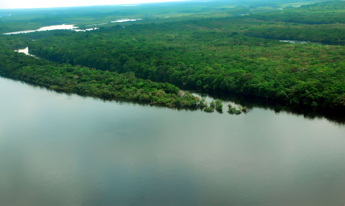 AMAZÔNIA: Força-Tarefa ajuízou 114 ações e cobrou mais de R$ 2,6 bi por crime ambientais 