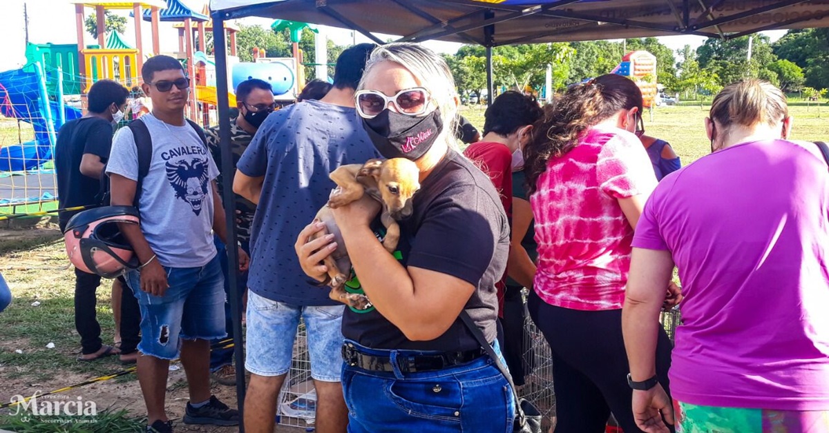 EM PORTO VELHO: Márcia Socorristas Animais Participa da 1ª Feira de Adoção de Cães e Gatos 