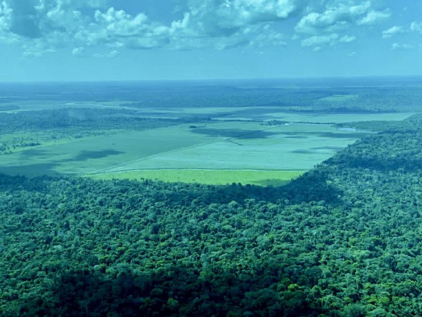 DIA DA AMAZÔNIA: Rondônia ressalta o esforço de órgãos no combate aos ilícitos ambientais