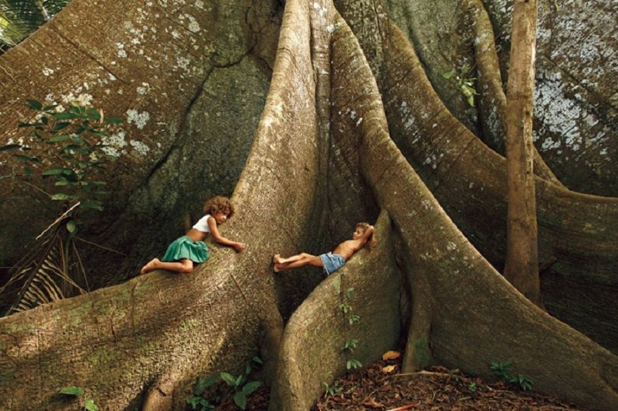 AMAZÔNIA: Fotógrafo registra há 50 anos a natureza que o Brasil está destruindo