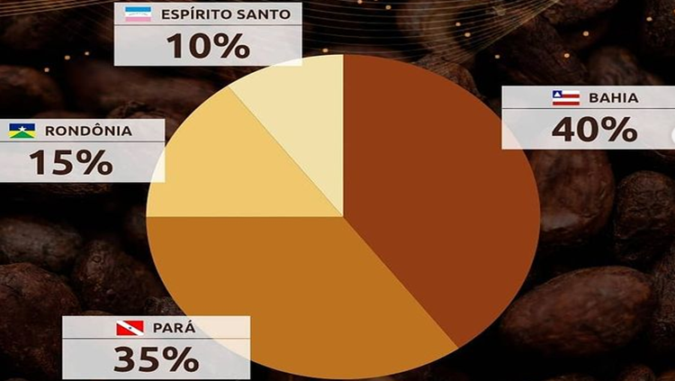 CACAUICULTURA: RO tem produtores inscritos no 3º Concurso Nacional de Qualidade do Cacau