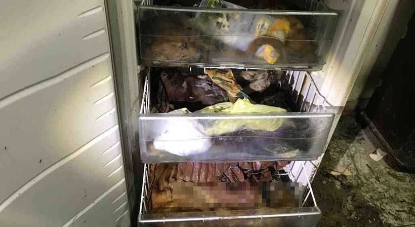 MISTÉRIO: Policiais ficam intrigados ao encontrarem cães congelados em freezer