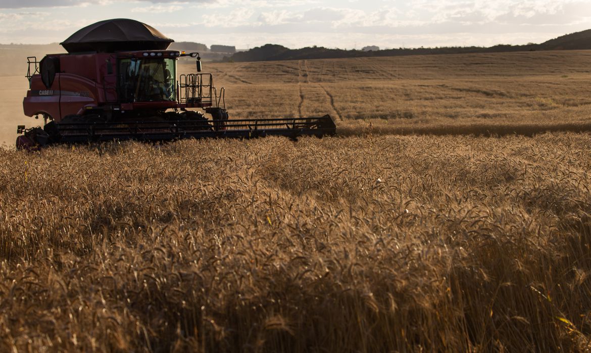 CAMPO: Crédito rural sobe 18% em relação ao último semestre de 2019