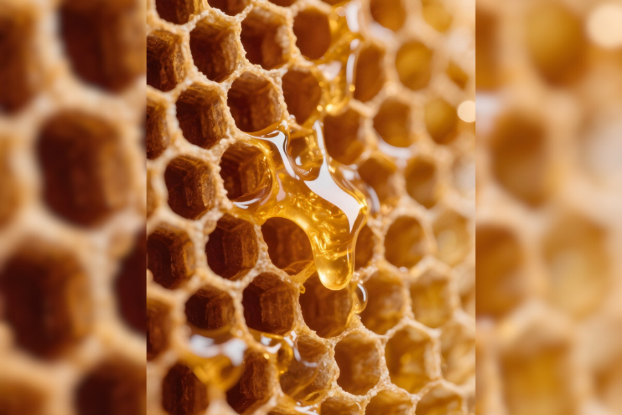COMO SABER?: Até 70% do mel vendido no Brasil pode ser falso, alertam especialistas do setor