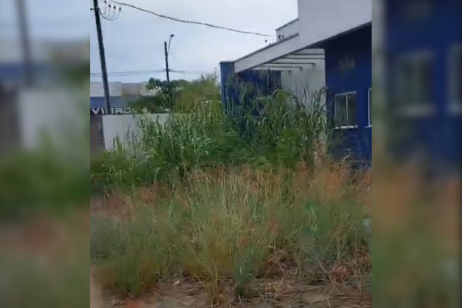 PRÉDIO PÚBLICO: Vilhenense denuncia abandono de estrutura do Centro de Castração Municipal