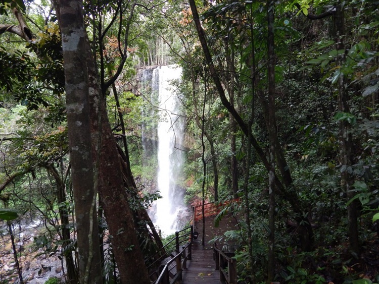 RETOMADA: Governo de RO lançará em cidades do interior o Plano ao Turismo