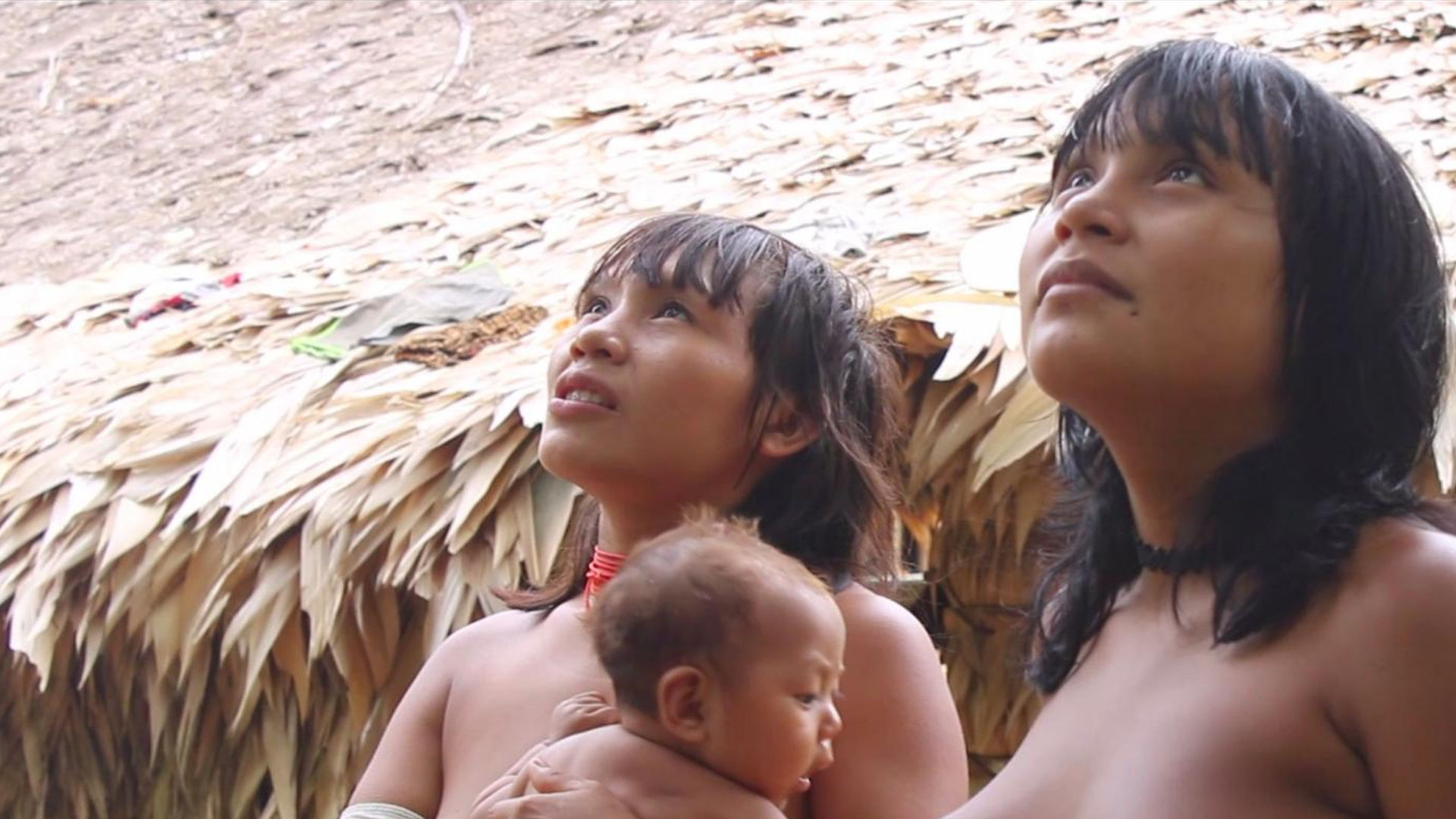 DOCUMENTÁRIO: ‘Mãri hi – A Árvore do Sonho’ de cineasta Yanomami pode concorrer ao Oscar