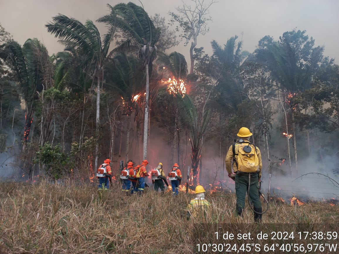 AINDA TEM SOLUÇÃO: IPAM aponta frentes de ação para proteger a Amazônia contra o fogo