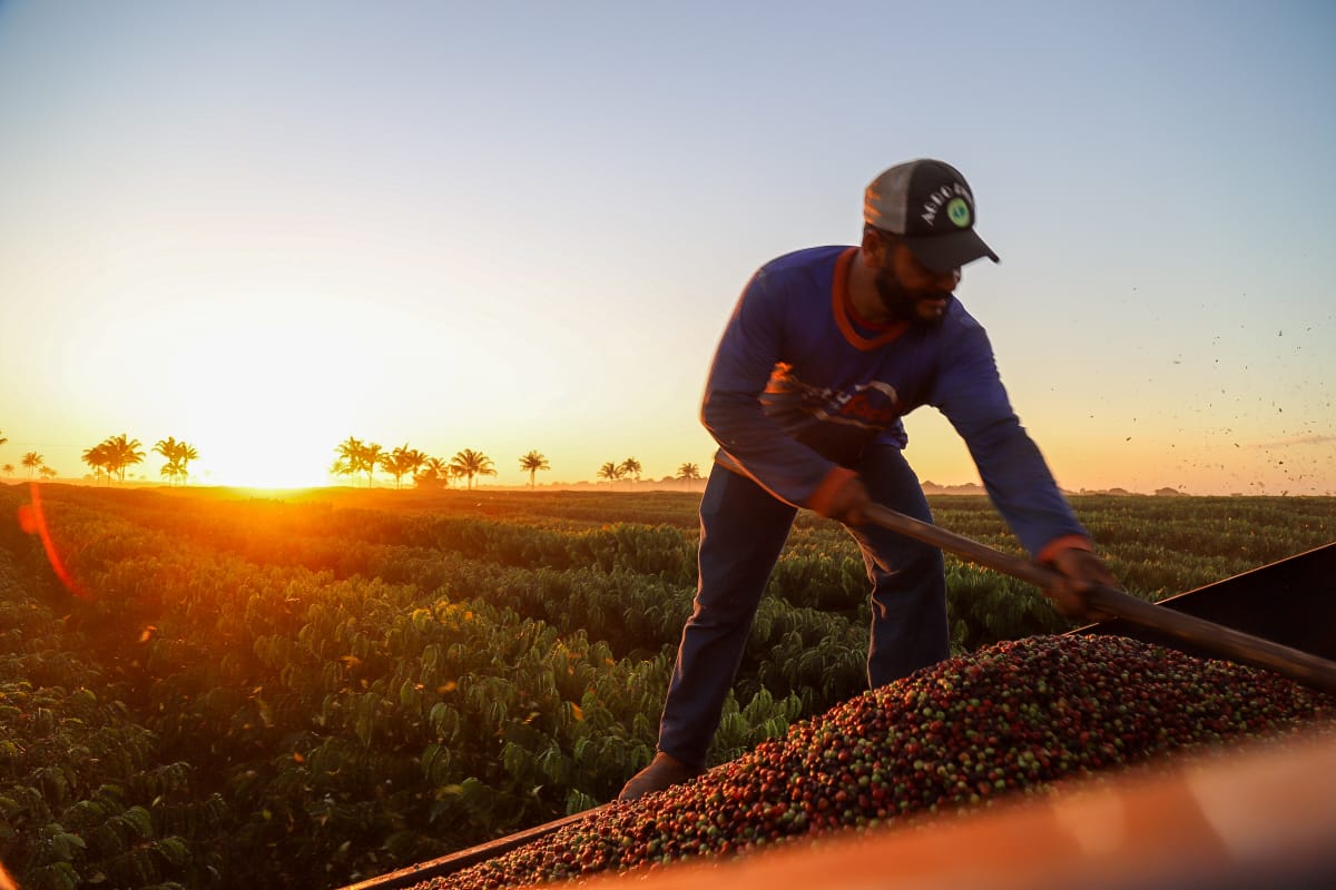 VALORIZAÇÃO: Sebrae apoia o pequeno produtor rural para alcançar grandes resultados