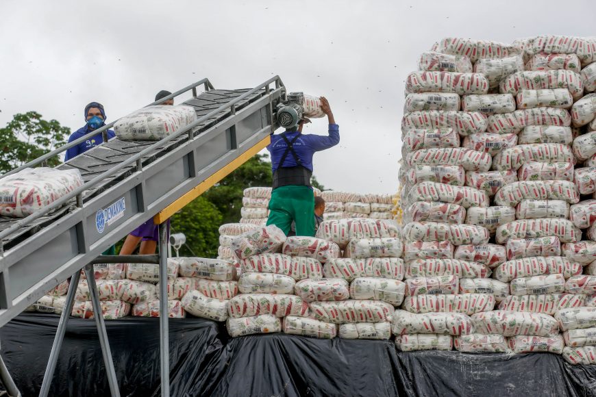 AGRO: Rondônia tem aumento na exportação agropecuária em 2020