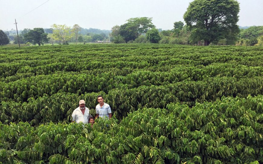 Rondônia realiza Jornada dos Robustas Amazônicos