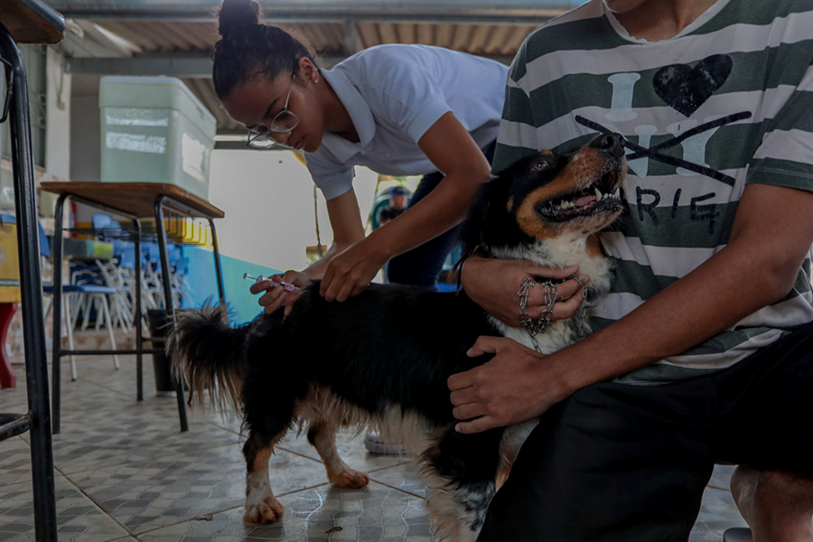 ANTIRRÁBICA: Jaci-Paraná recebe ação de vacinação de cães e gatos no sábado (5)