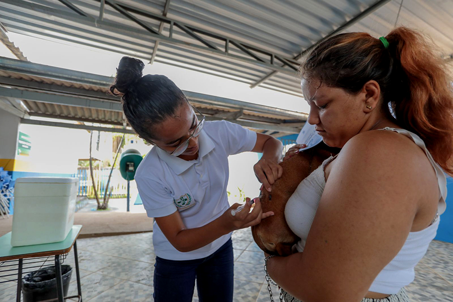 SERVIÇO: Saúde leva vacinação antirrábica para comunidade Colônia Viçosa