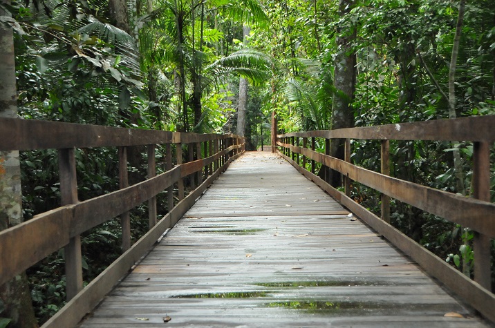 LAZER: Parque Natural de Porto Velho estará aberto durante o feriado