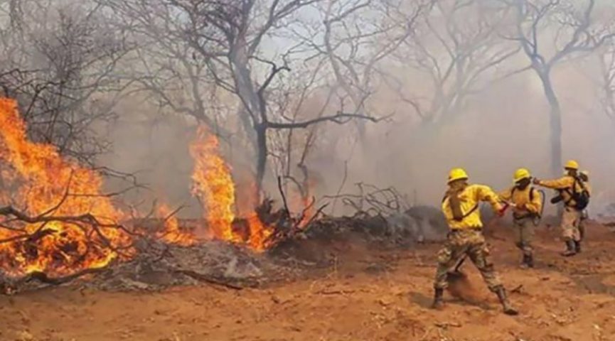 FOGO: Bolívia perde quase meio milhão de hectares para incêndios florestais