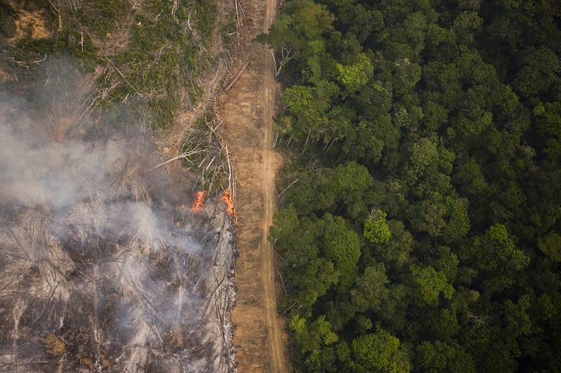 AMAZÔNIA: Igreja Católica divulga documento em que denuncia uso indiscriminado da floresta