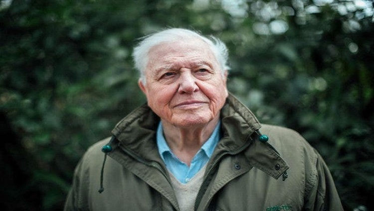 DAVID ATTENBOROUGH:  “Estamos diante da possibilidade real de uma sexta extinção em massa”