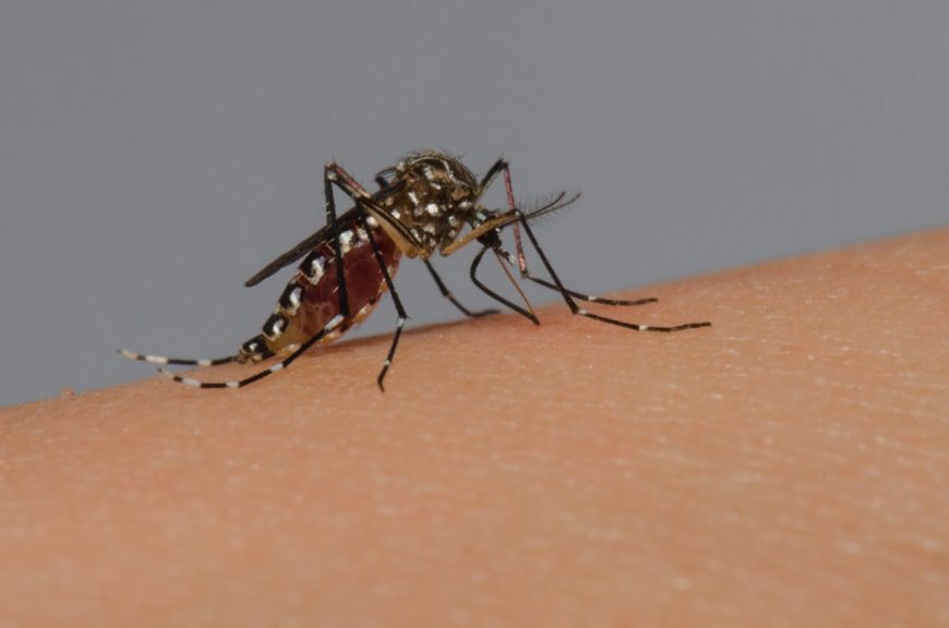 PERIGO: Dengue pode ter matado homem de 45 anos em Machadinho d’Oeste
