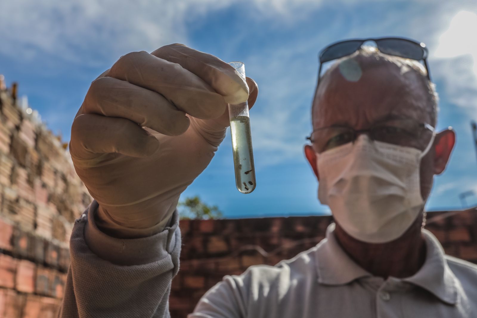 ALÍVIO: Pesquisa aponta queda nos casos de dengue e chikungunya em Porto Velho