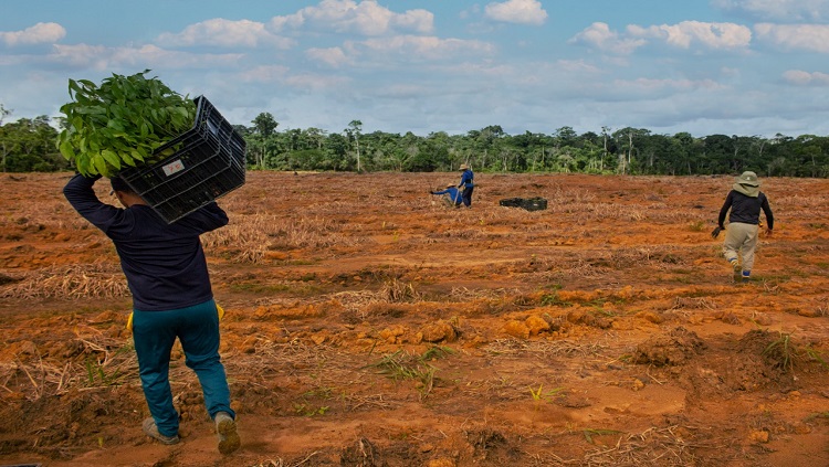 MEIO AMBIENTE: Preservar a qualidade do solo é garantir a sobrevivência das futuras gerações