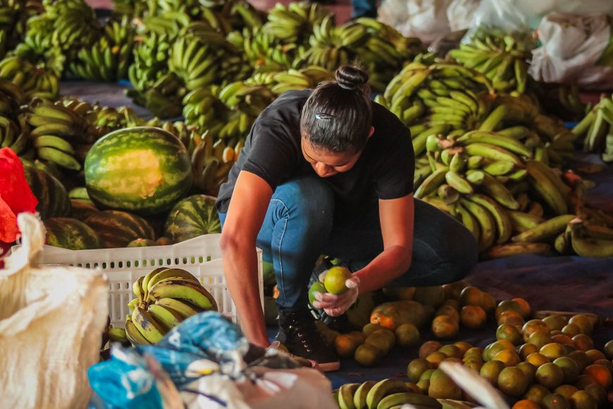 AGRICULTURA FAMILIAR: Governo destina mais de R$700 mil para compra de alimentos 