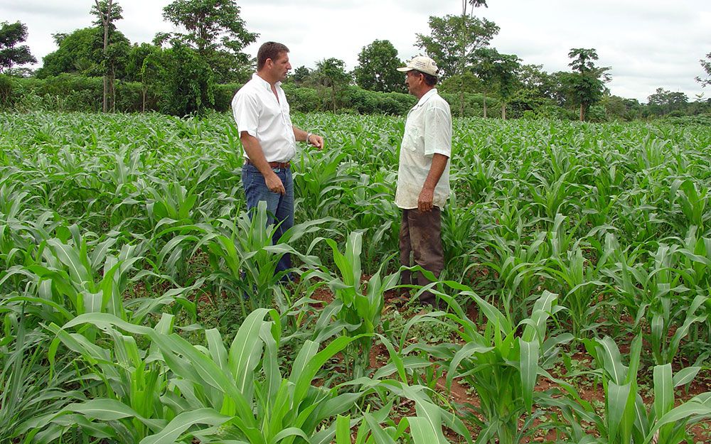 COVID-19 AVANÇA: Produtores rurais e trabalhadores do campo também devem se proteger