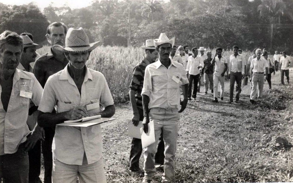 EXTENSÃO RURAL: Extensionistas contribuíram para o desenvolvimento das famílias no campo em RO