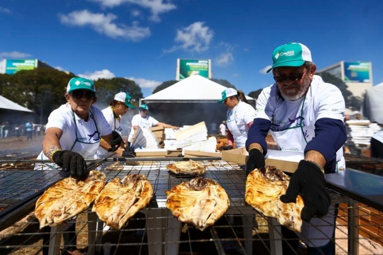 PISCICULTURA: Festival nacional do Tambaqui da Amazônia é neste domingo