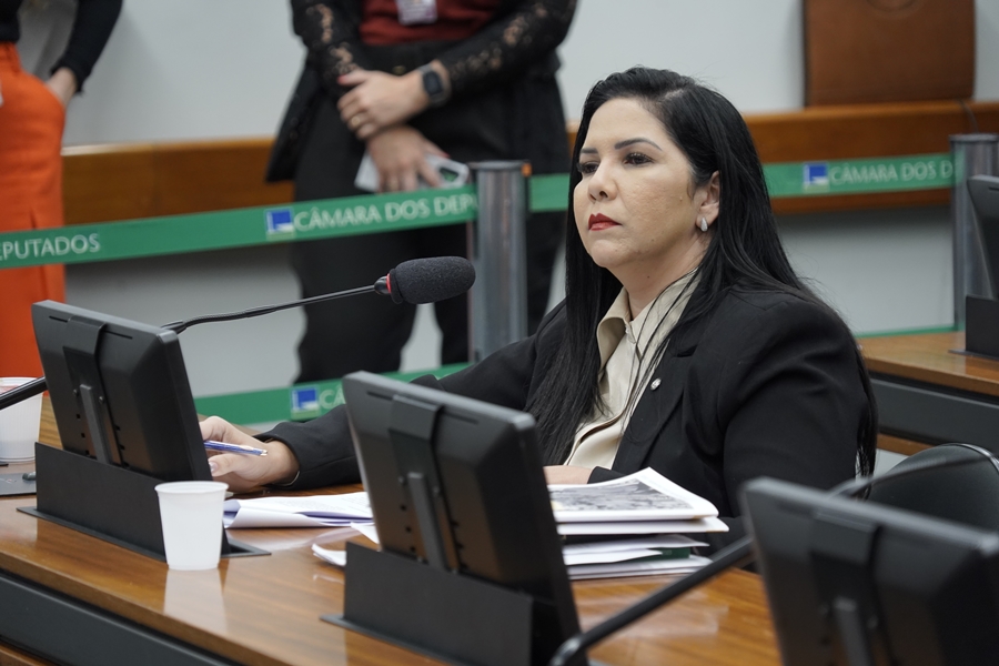 CRISTIANE LOPES: Fortalecimento das penas para furto e roubo é defendido por deputada