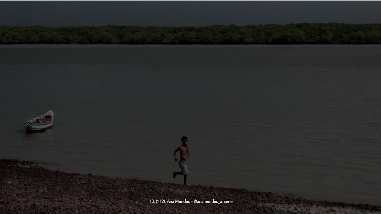 SOLIDARIEDADE:  Profissionais disponibilizam fotos para venda para ajudar povos indígenas de Rondônia