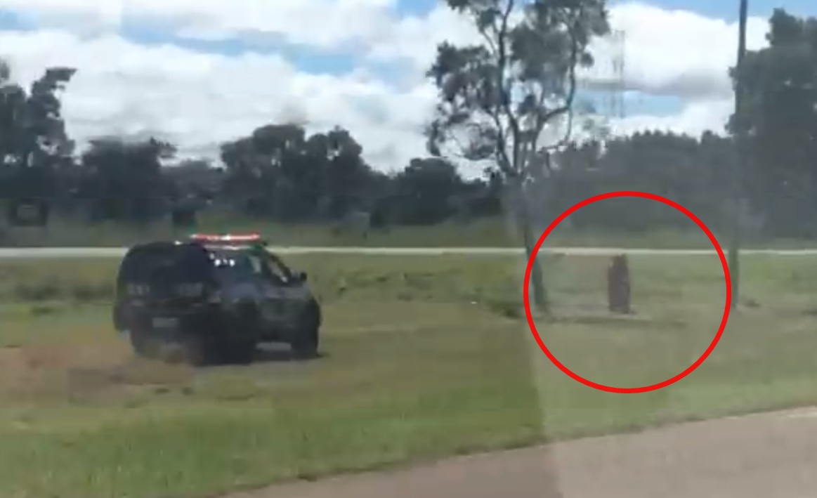 FUGA ALUCINADA: PRF prende motociclista após perseguição em rodovia; veja o vídeo