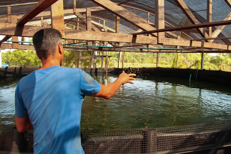 EM RO: Pisicultura tem grande desenvolvimento e criação de tambaqui é destaque