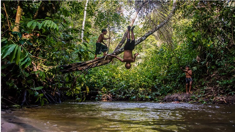 AÇÃO HUMANITÁRIA: Trabalhos do projeto 'Fotos para Rondônia' continuam disponíveis para aquisição