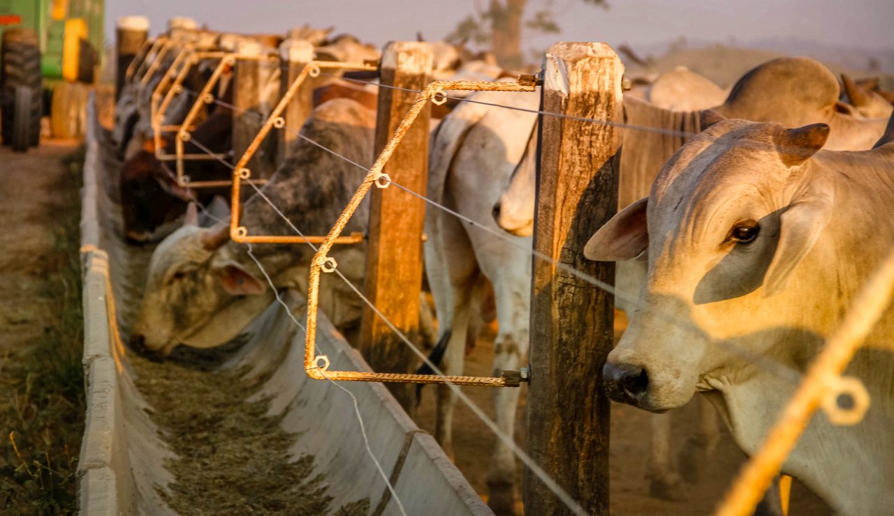 ICMS: Governo pede prorrogação de convênio do Confaz para estimular o agronegócio 