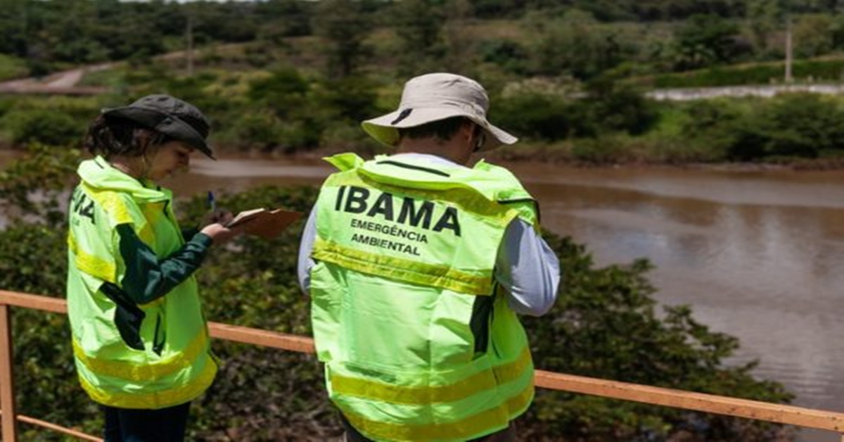 DOIS NÍVEIS: Concurso do Ibama terá 560 vagas e ocorrerá dois meses após lançamento do edital