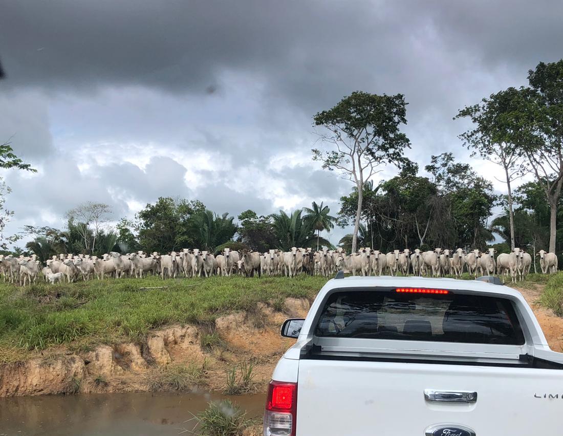 QUINTA RODA II: PF faz operação contra o tráfico interestadual e bloqueia R$ 36 milhões de bando