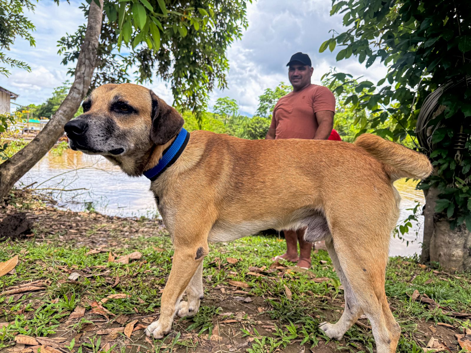 PETS: Distrito de Nazaré vira exemplo de cuidado animal