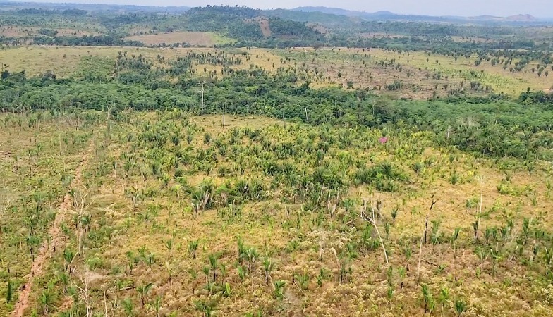 CRIME AMBIENTAL: MP obtém reconhecimento da ilegalidade de associações de produtores rurais