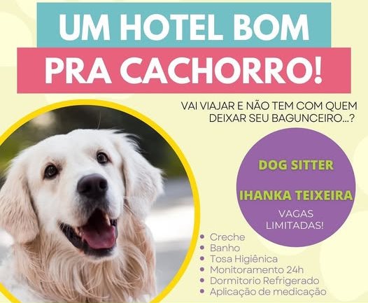 BABÁ DE PET: Conheça o Pet Sitter Ihanka Teixeira 