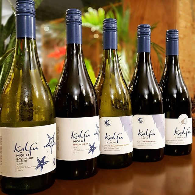 NOVIDADE: Kalfu: vinhos inspirado em indígenas chegam ao Brasil