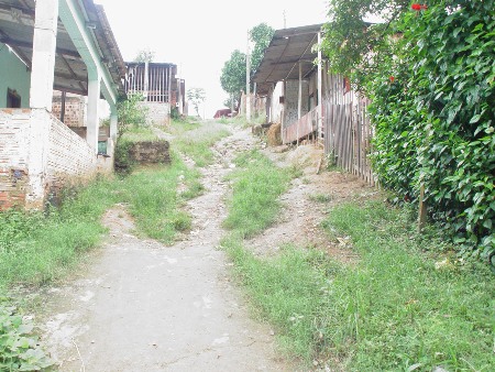 Moradores do bairro Nacional pedem ajuda às secretarias do município para situação de calamidade  -  Confira fotos