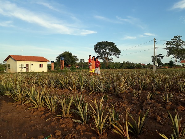 VIVEIRO CIDADÃO: Agricultoras iniciam plantio de 30 mil mudas em quintais produtivos em Rondônia